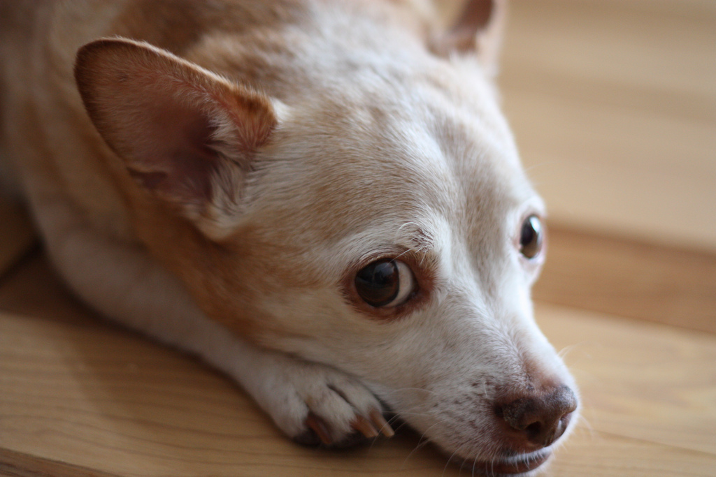 10 betegsegre utalo tunet 1