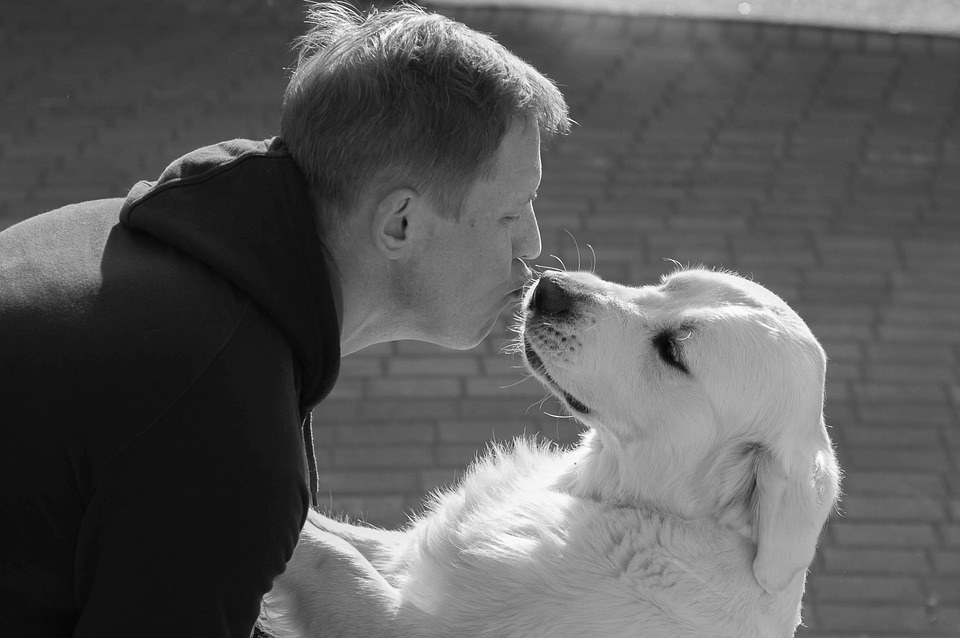 kutya gazdi örökbefogadás boldog - randevau.hu