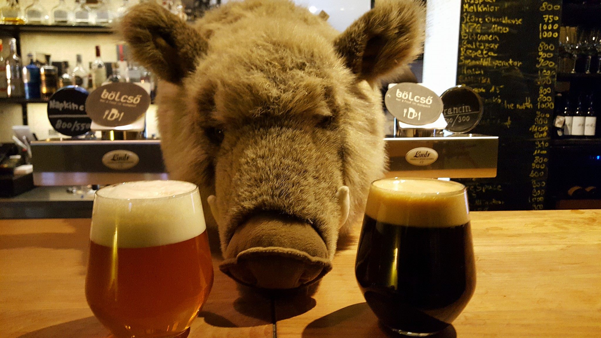 5 budai szorakozohely Bolcso