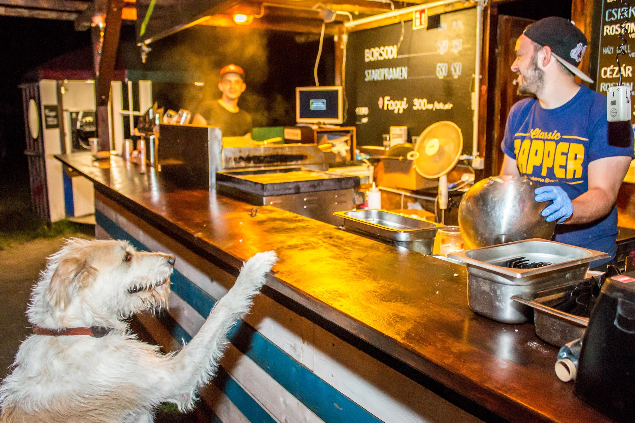 5 kutyás ki/beülős hely - Pesten