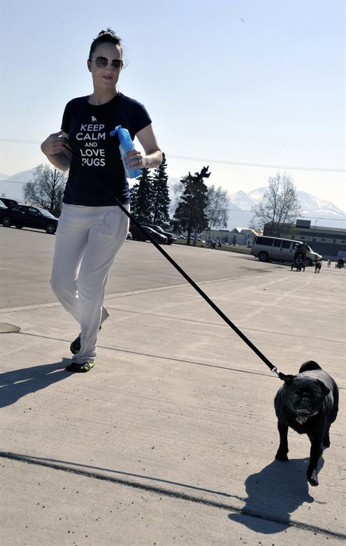 kutya futás kutyássport futóverseny szabadidő - randevau.hu