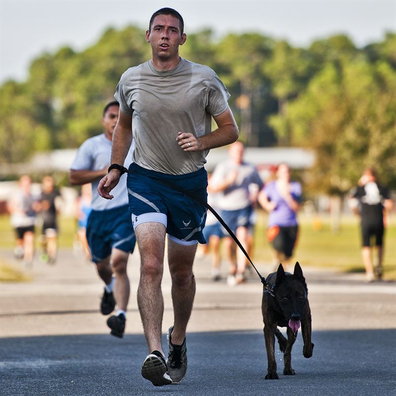 kutya futás kutyássport futóverseny szabadidő - randevau.hu