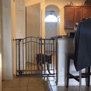 a boxerek ezer arca 8