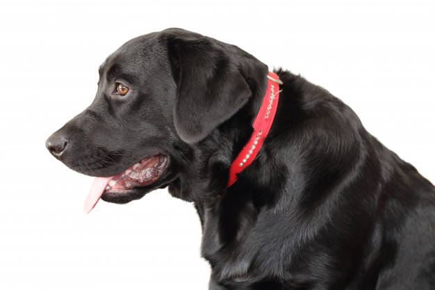 a folyadekhiany tunetei 1