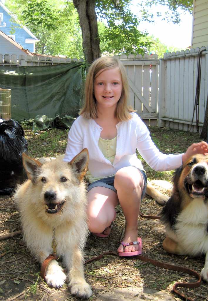 csodás kutyás film kislány és a kutyái - randevau.hu