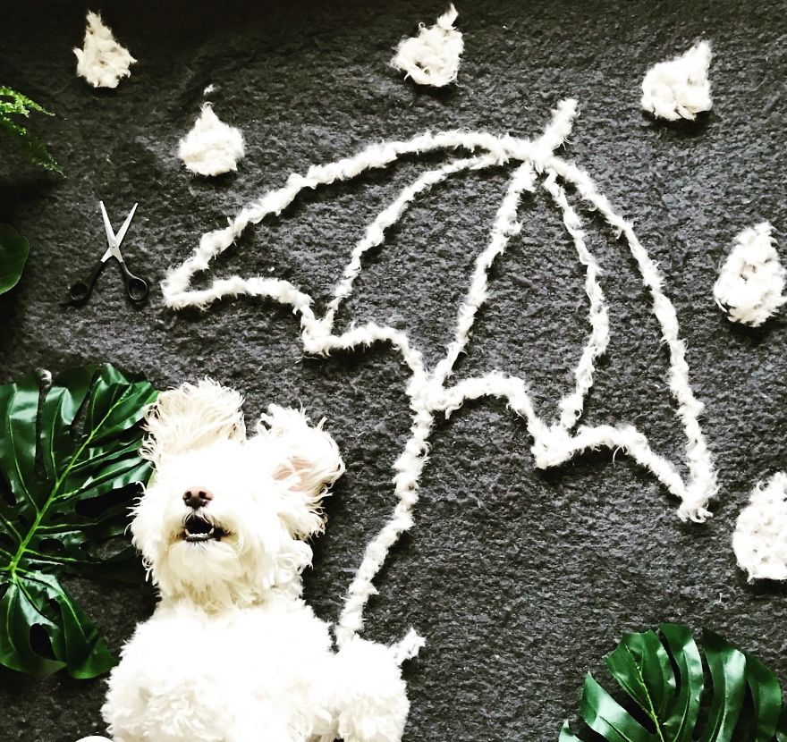 A művészet határtalan...