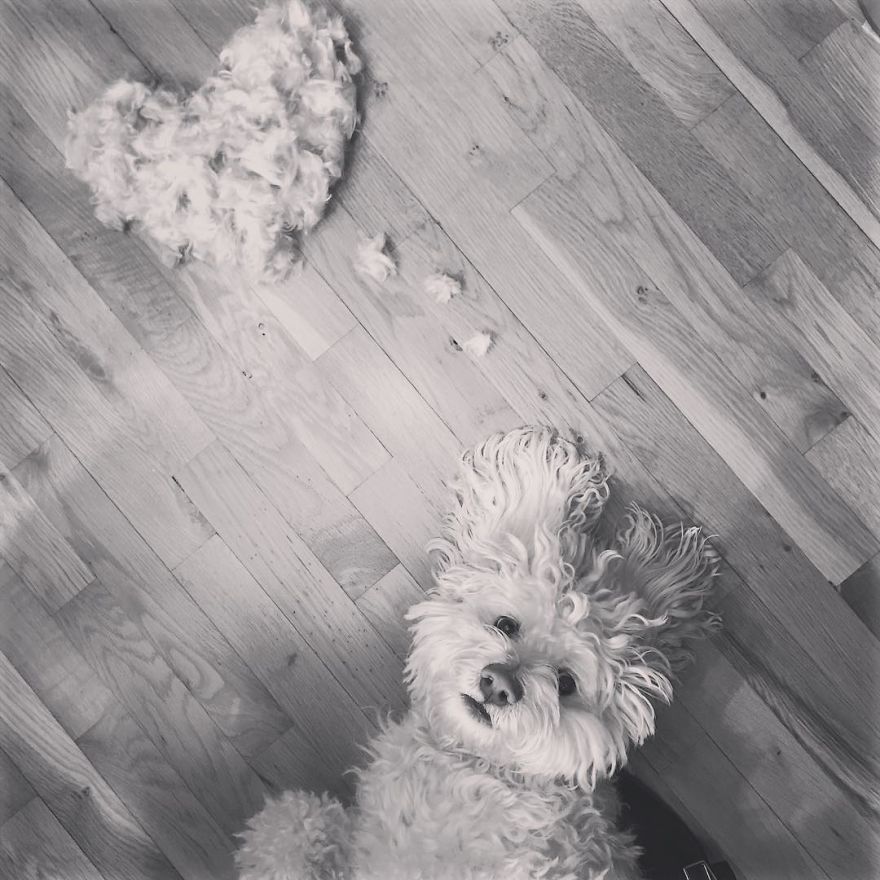 a muveszet hatartalan 5