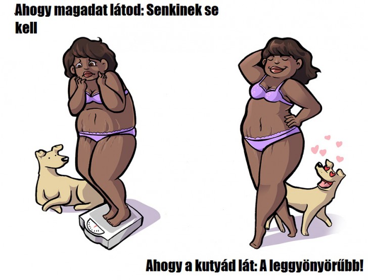 Ahogy érzed magad vs. amilyennek a kutyád lát