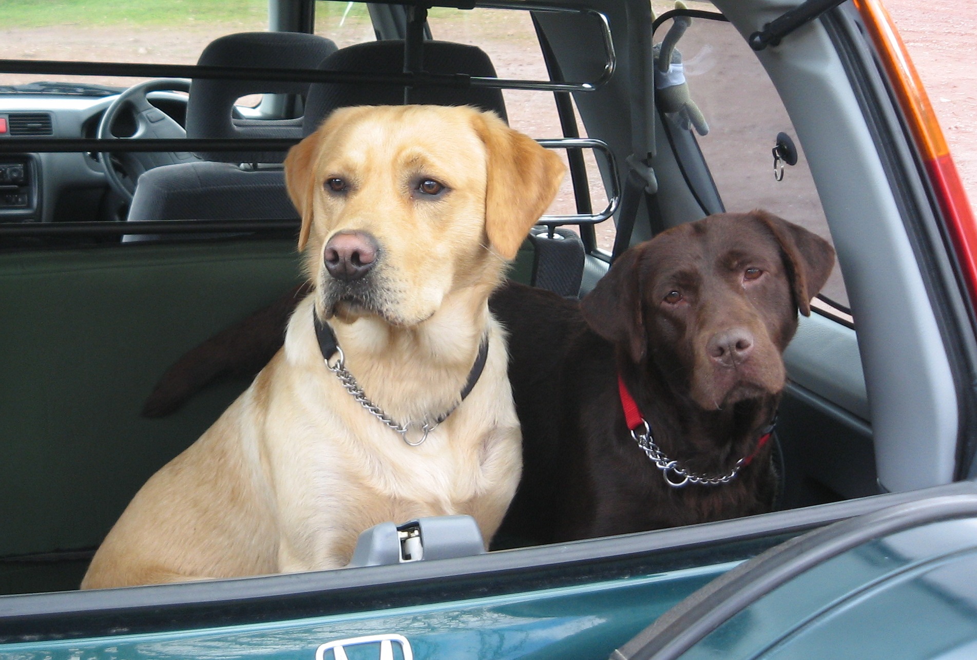 allatorvost de tustent3