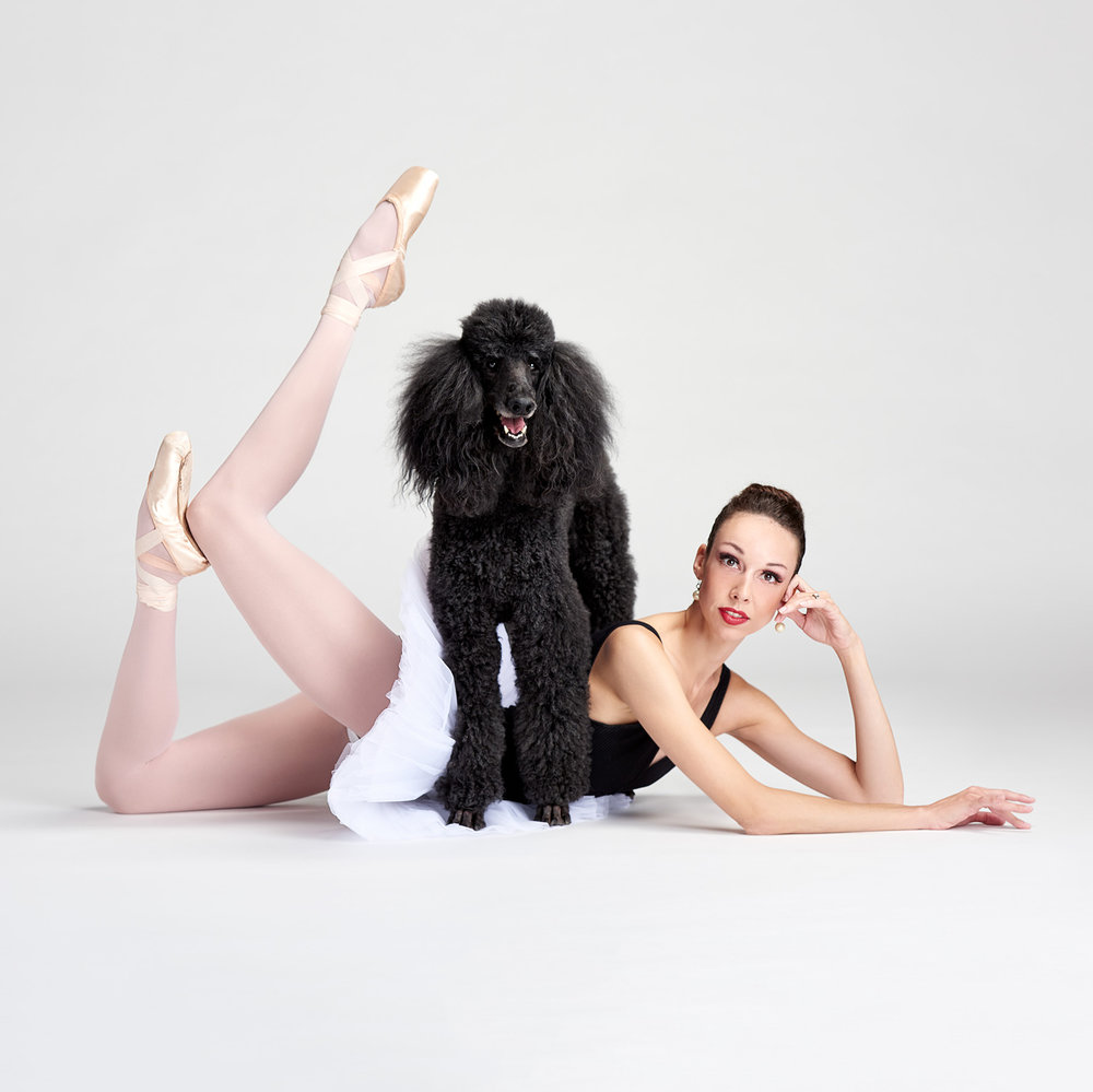 dancers and dogs 5