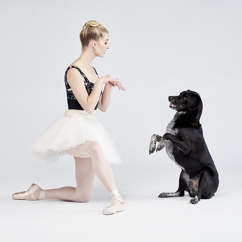 dancers and dogs 6