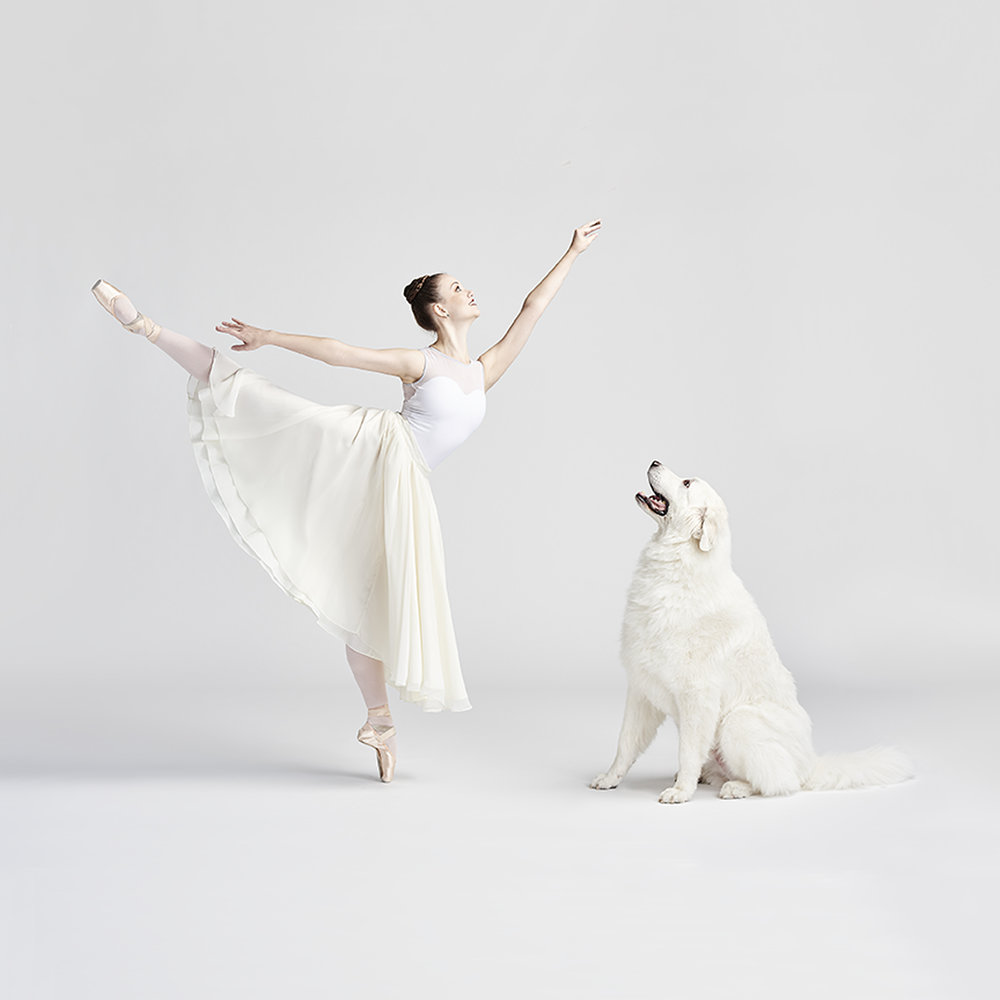 dancers and dogs 7