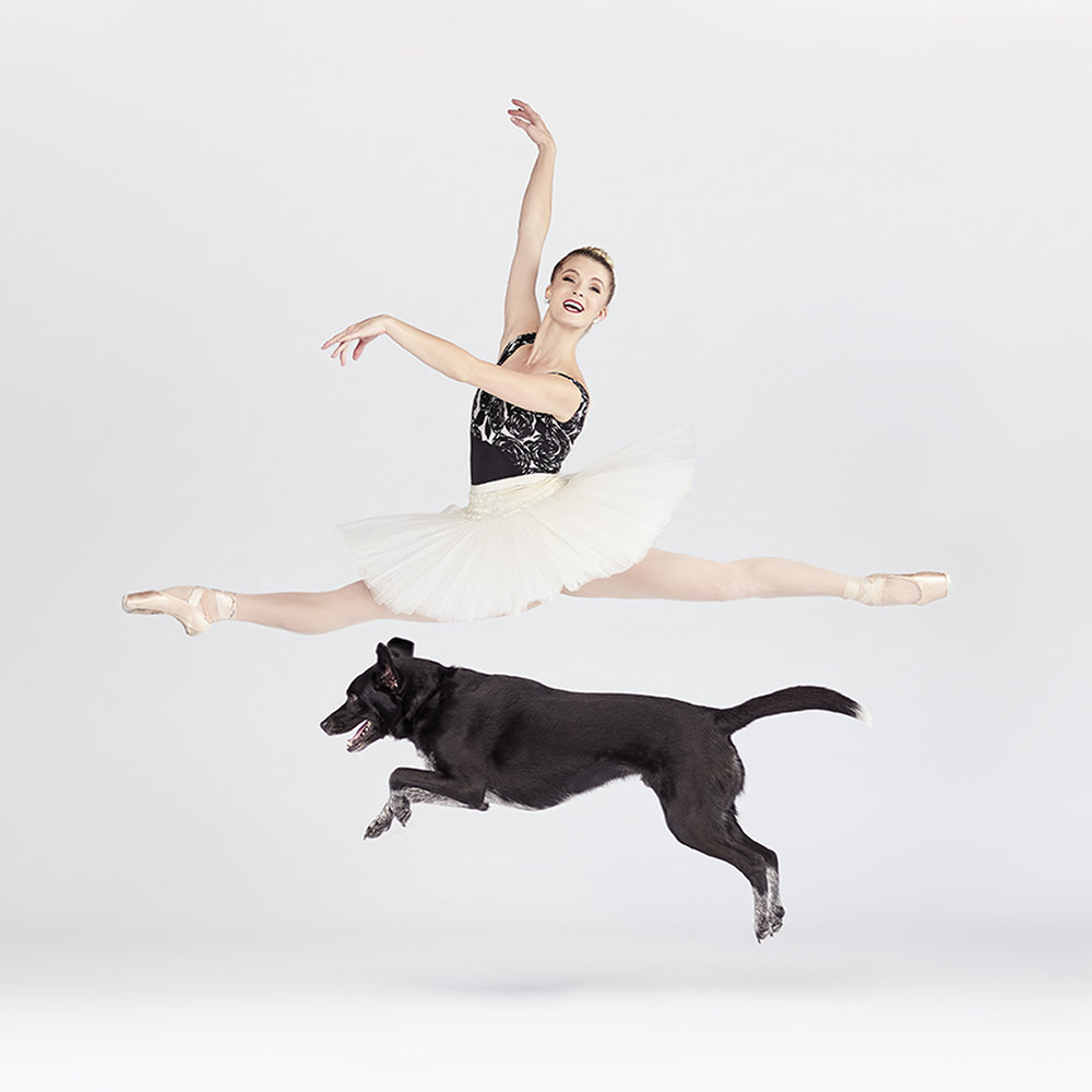 dancers and dogs 8