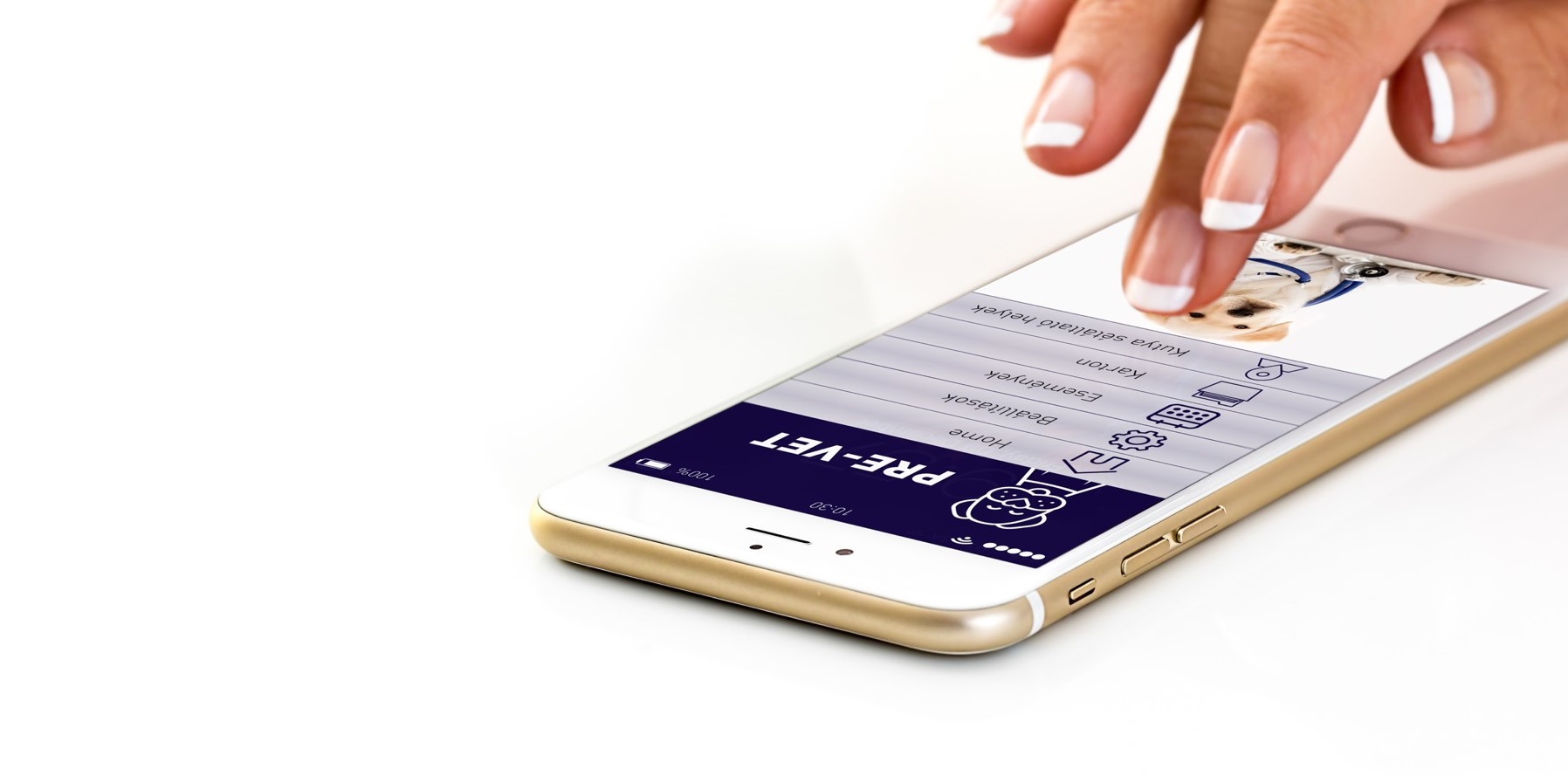 Egészségtudatosságért a gazdik körében - Egy hasznos app kutyásoknak!