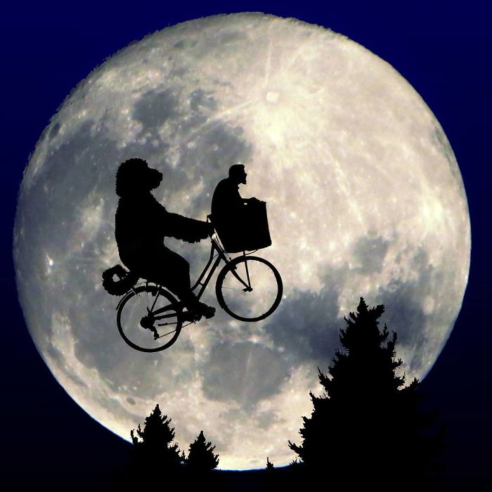 ha a kutyak sokkal nagyobbak lennenek 8