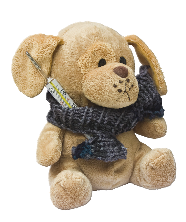 ha osz akkor kennelkohoges 2