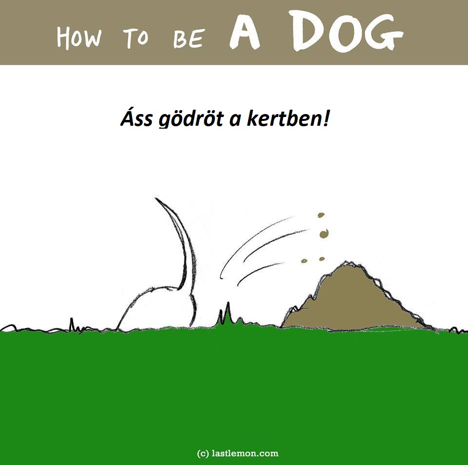 hogyan legyel jo kutya 1