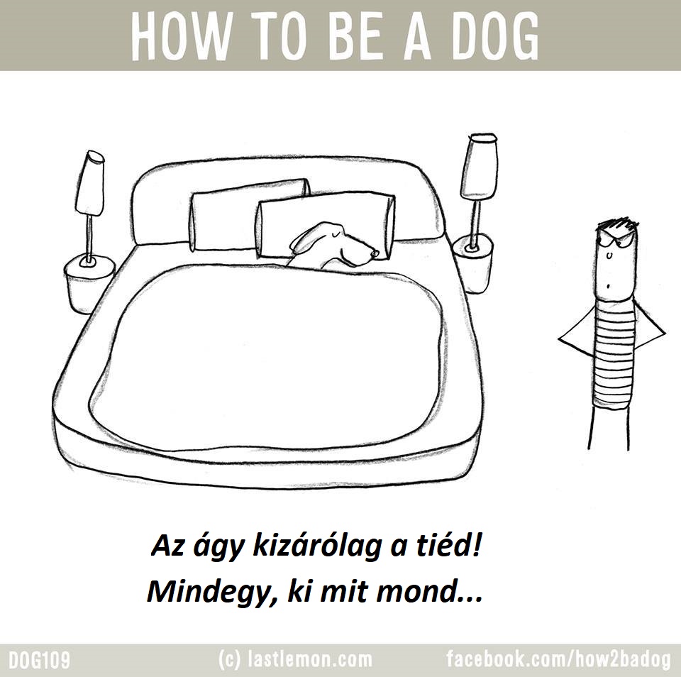 hogyan legyel jo kutya 2
