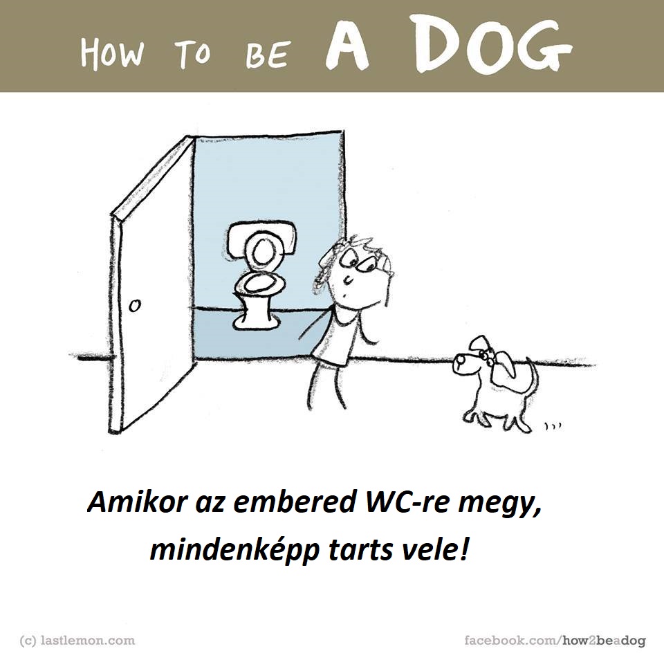 hogyan legyel jo kutya 3
