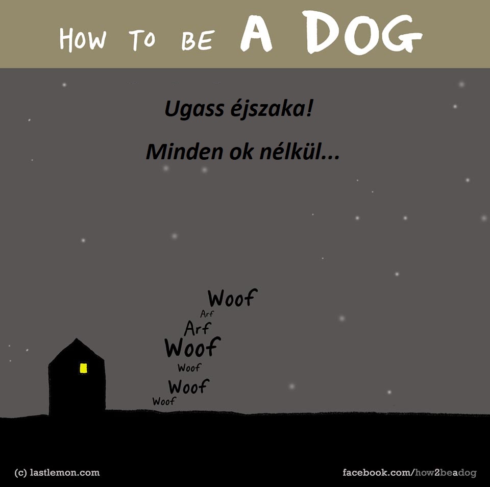hogyan legyel jo kutya 6