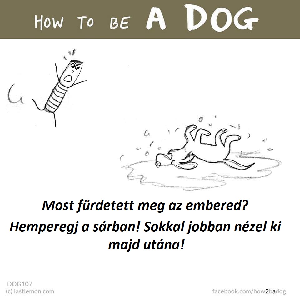 hogyan legyel jo kutya 9