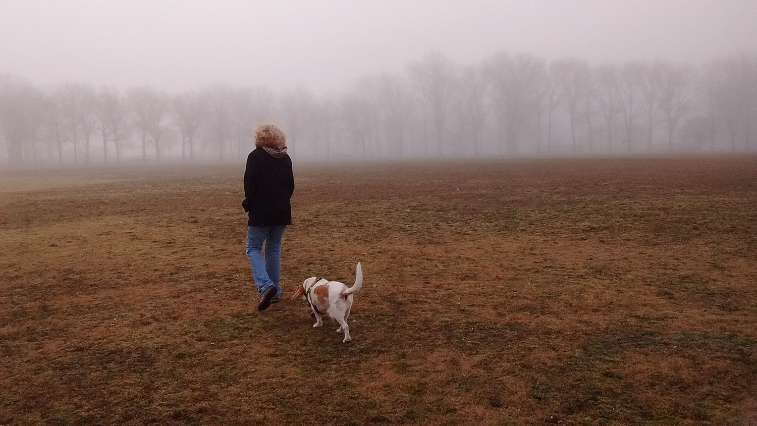 kutya vadász ködös séta - randevau.hu