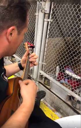 kutyabarat tuzijatek 3