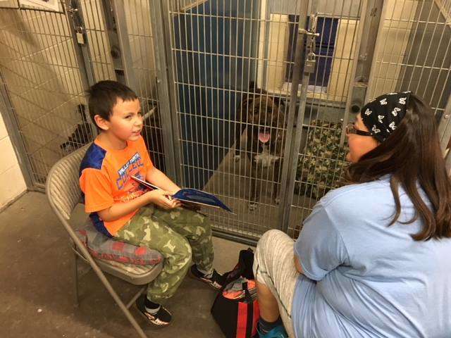 kutyabarat tuzijatek 4