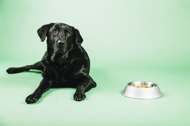 milyen tapanyagokra van szuksege 4