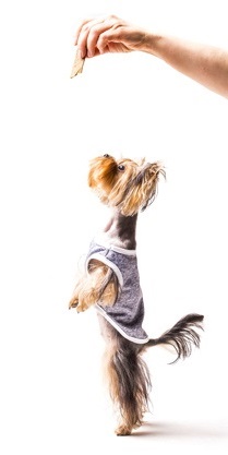 milyen tapanyagokra van szuksege 5