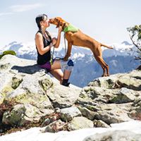 mywhiskeygirl magyarvizsla 17