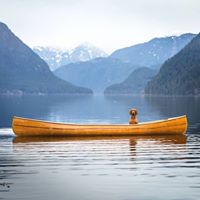 mywhiskeygirl magyarvizsla 20