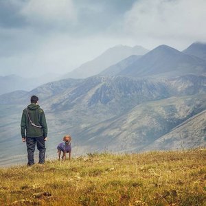 mywhiskeygirl magyarvizsla 4