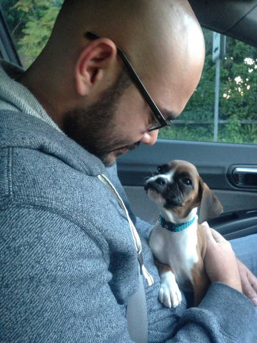 2 orokbefogadott kutyak