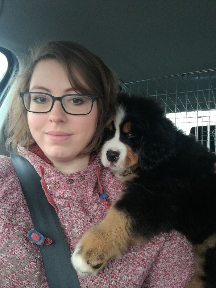 6 orokbefogadott kutyak