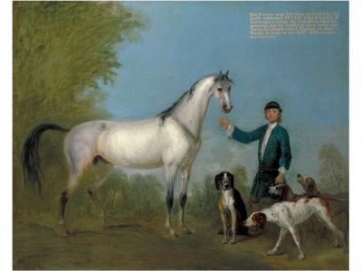 angol-francia_falkavadsz_kop