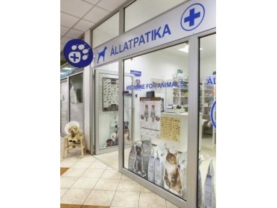 budagyongye_allatpatika_-_budagyongye_-1__szint