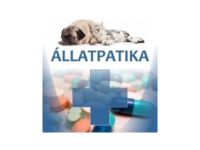 mega-vet_allatpatika_logo