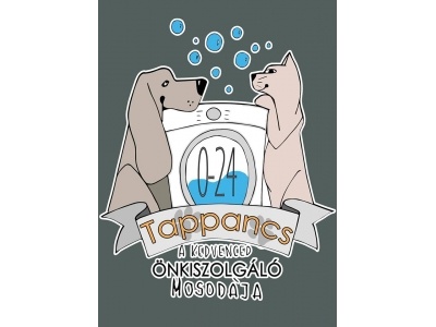 tappancs_nkiszolgl_mosoda